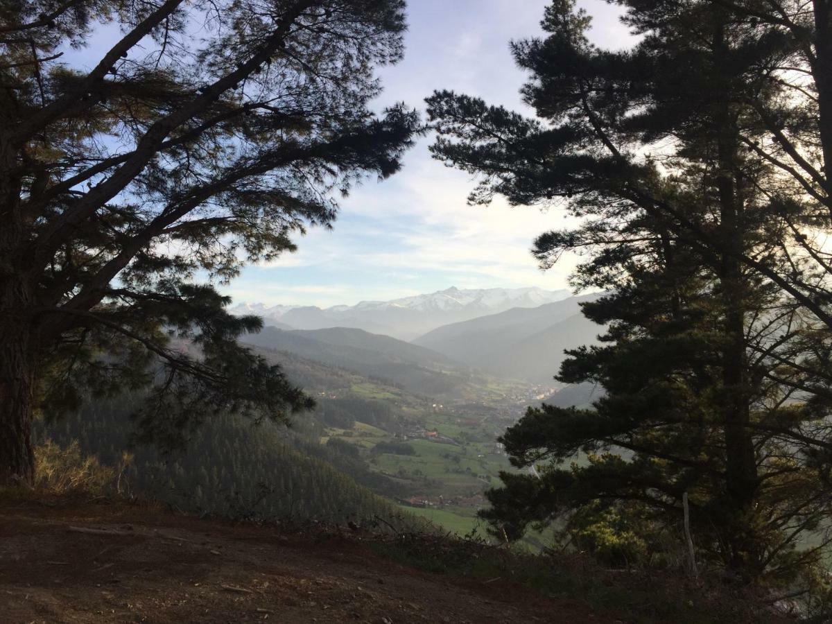 Valverde Ii Potes